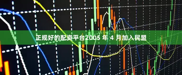 正规好的配资平台2005 年 4 月加入民盟