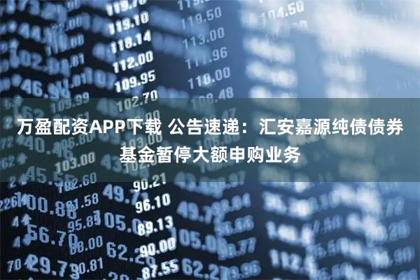 万盈配资APP下载 公告速递：汇安嘉源纯债债券基金暂停大额申购业务