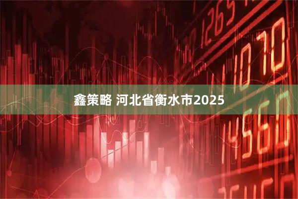 鑫策略 河北省衡水市2025